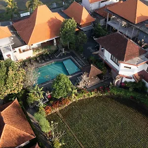 Nick's *** Ubud